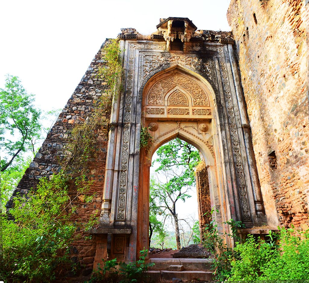 Palamu Fort