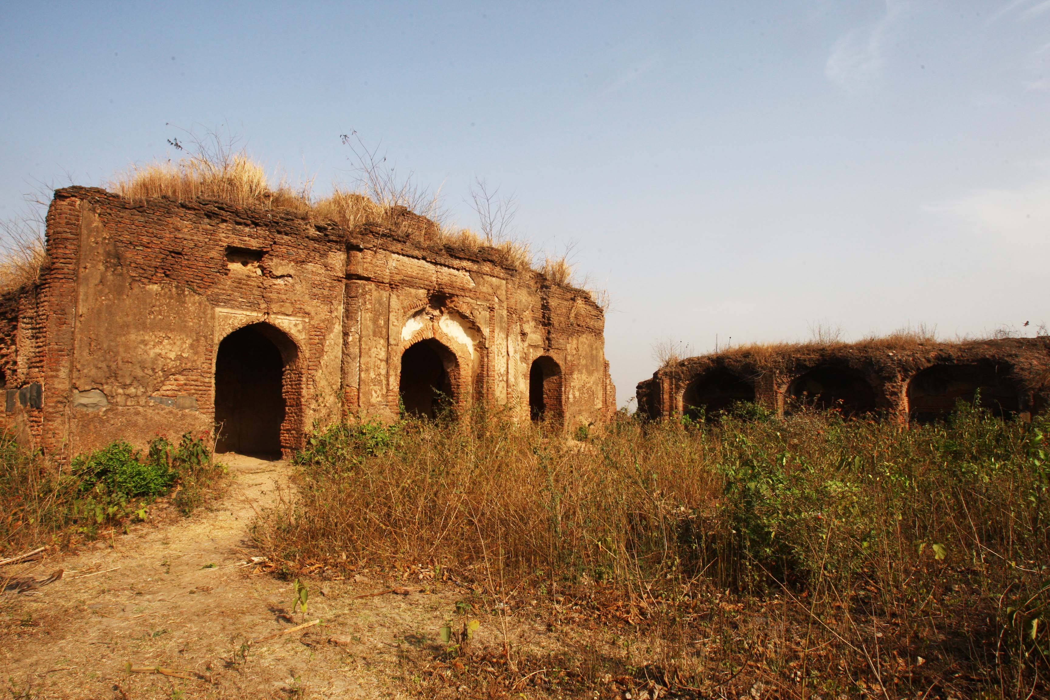 Ruins of Taliagarhi Fort